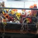 autumn centerpiece